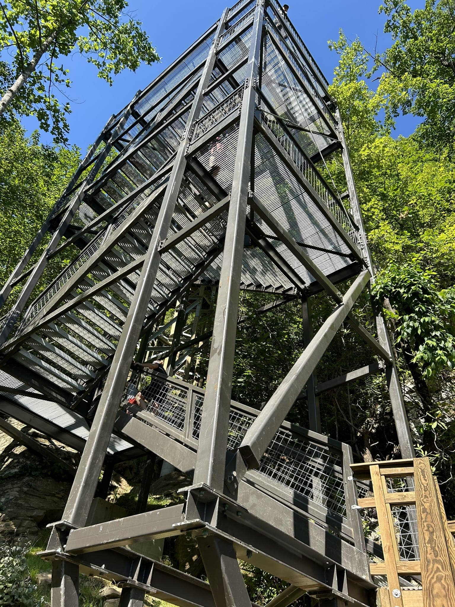 metal tower in forest