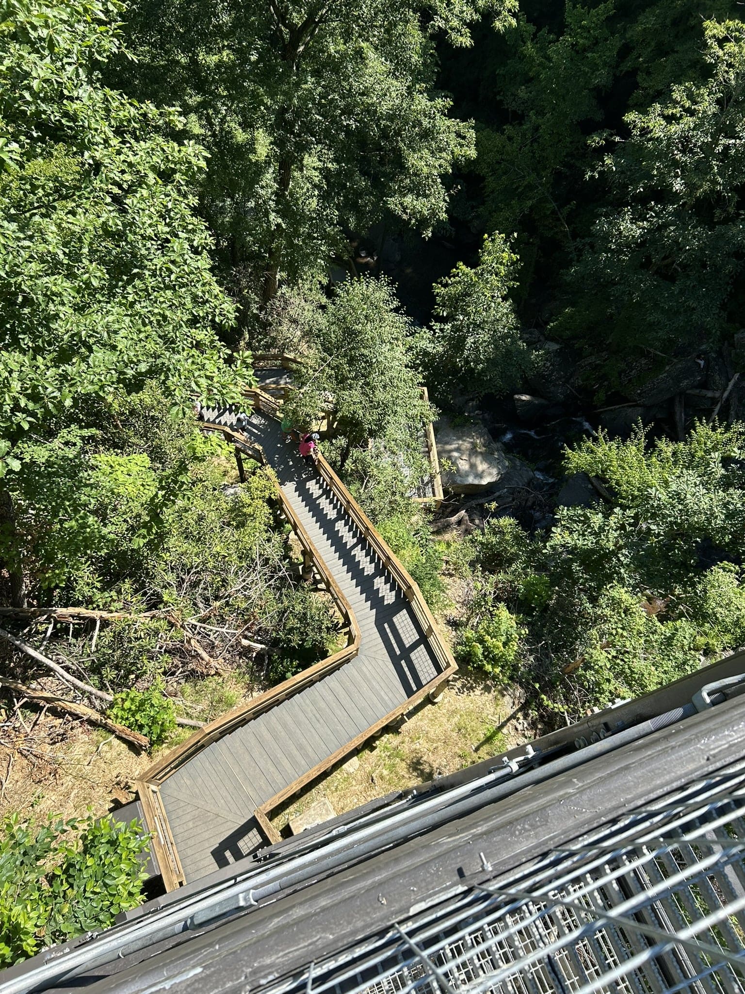 Looking downward from tower on Catawba Falls Trail, Pisgah National Forest