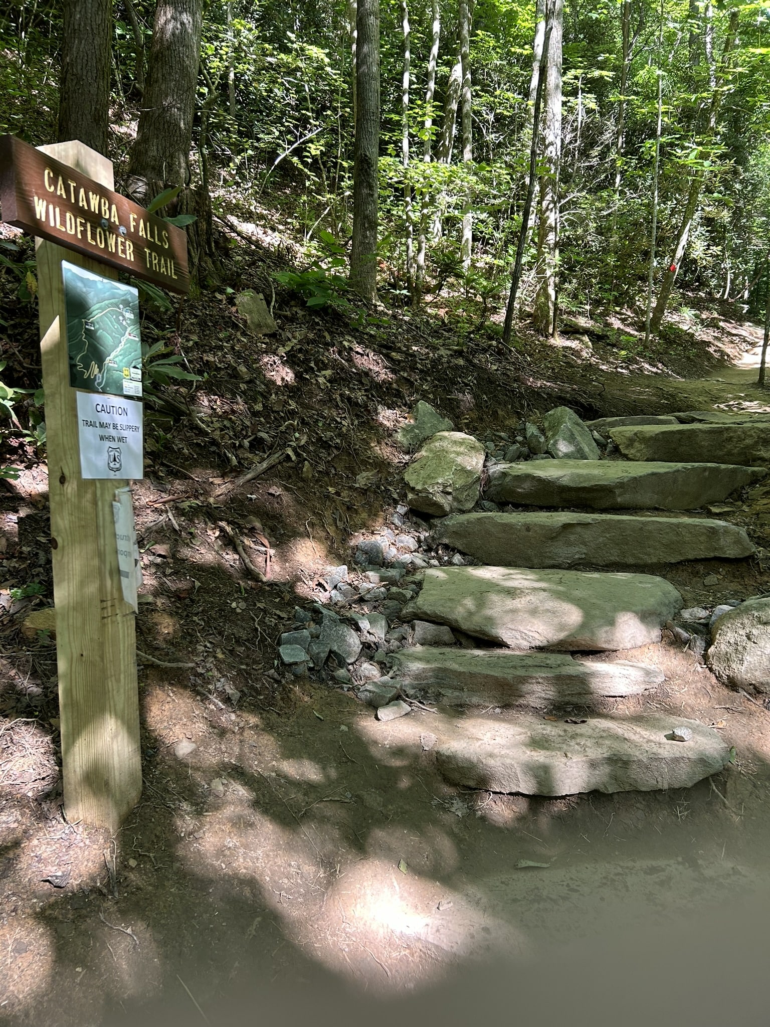 trailhead and sign in forest