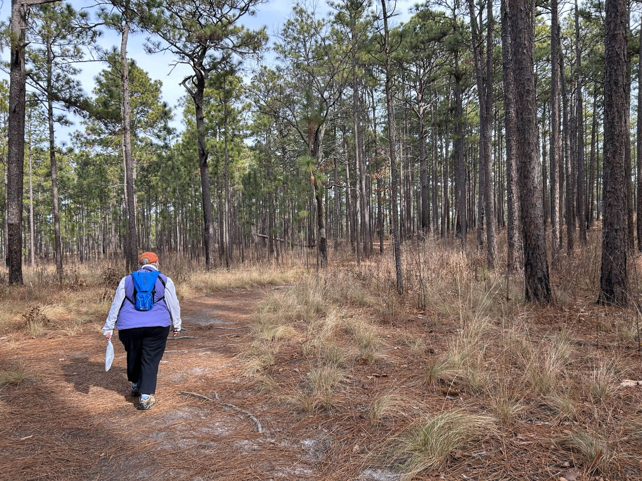 Weymouth Woods Sandhills Nature Preserve
